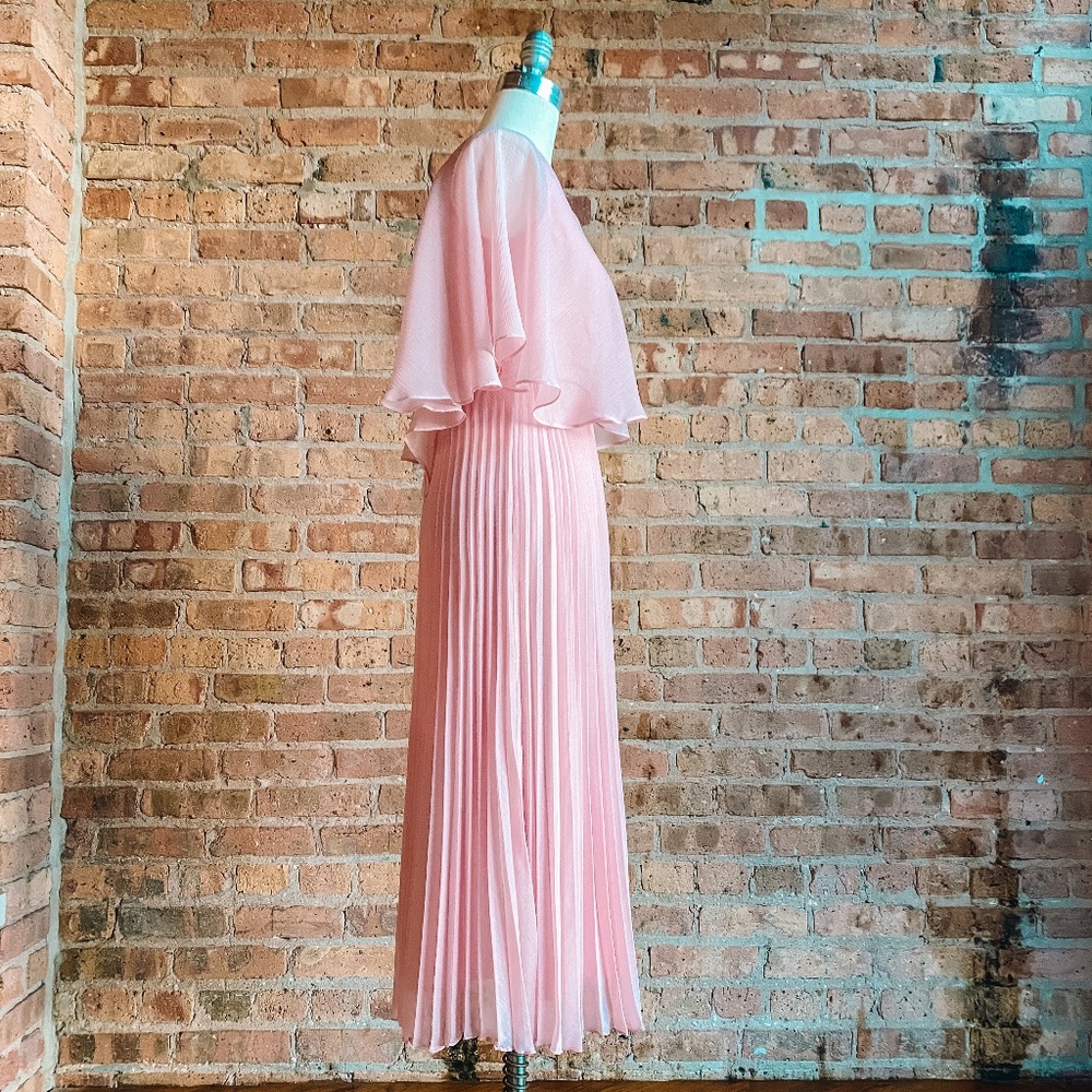 NWT Pink Chiffon Pleated Dress with Flutter Sleeve - Picture 9 of 16